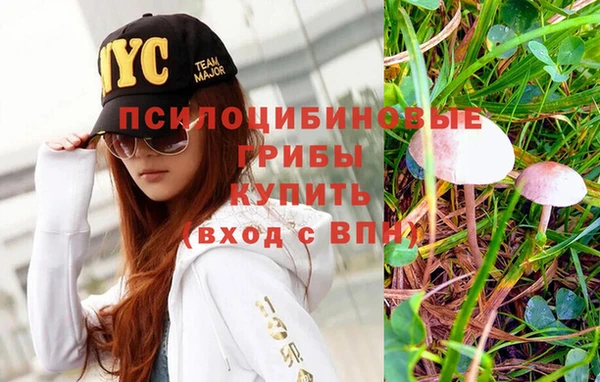 apvp Красноперекопск