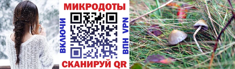 Купить где  Абакан  Псилоцибиновые грибы GOLDEN TEACHER 